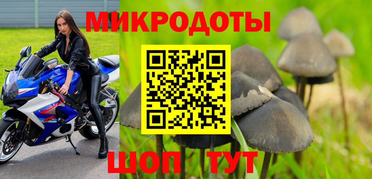 Галлюциногенные грибы Psilocybe  Вход с VPN  магазин продажи   Санкт-Петербург 